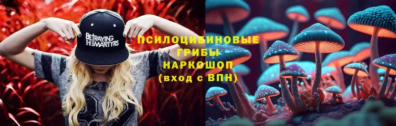 Галлюциногенные грибы Psilocybe  ссылка на мегу маркетплейс  Скопин 